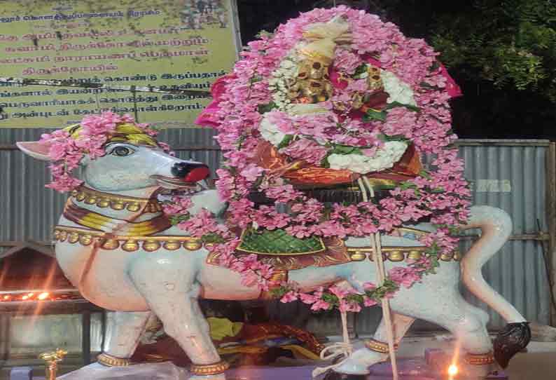 கொடுமுடி, ஊஞ்சலூர், கோபி சிவன் கோவில்களில் பிரதோஷ வழிபாடு