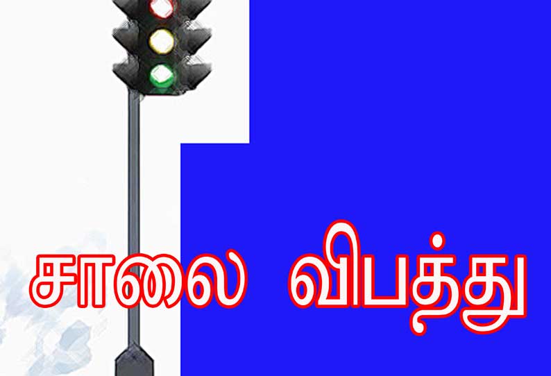 விபத்தில் கல்லூரி மாணவர் உள்பட 2 பேர் பலி