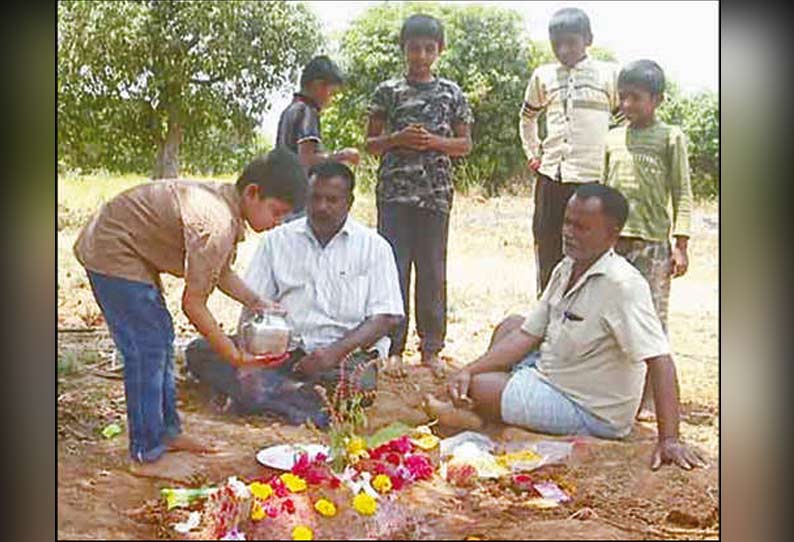 இறந்துபோன கோழிகளுக்கு இறுதிச்சடங்கு செய்த சிறுவன்