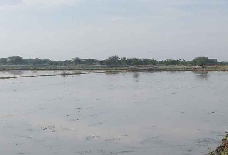 வலங்கைமான் பகுதியில் கொட்டித்தீர்த்த கோடை மழை