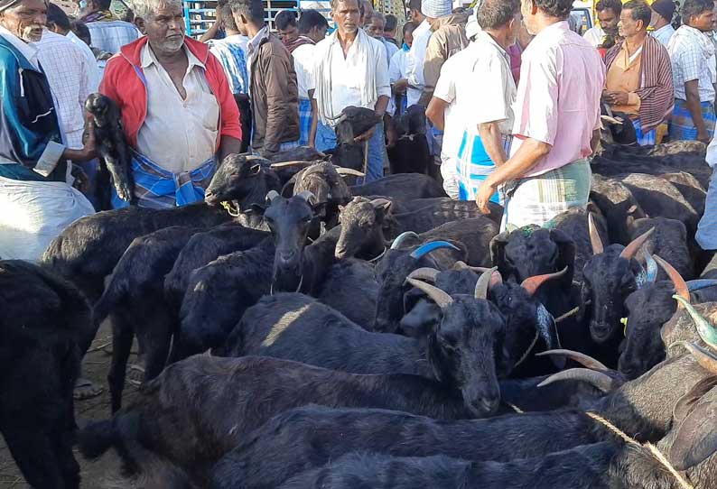 யுகாதி பண்டிகையையொட்டி  காரிமங்கலம் வாரச்சந்தையில் ஆடுகள் விற்பனை படுஜோர்