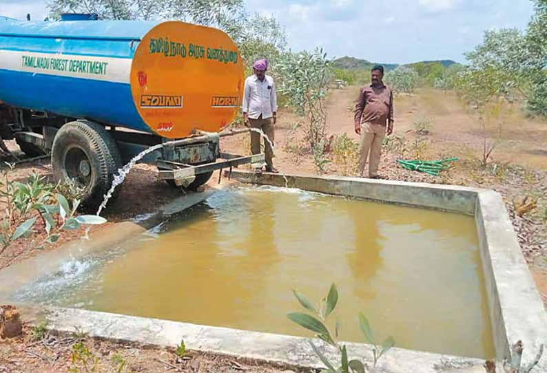 விலங்குகள் ஊருக்குள் வருவதை தடுக்க வனப்பகுதி தொட்டிகளில் தண்ணீர் நிரப்பும் பணி தீவிரம்