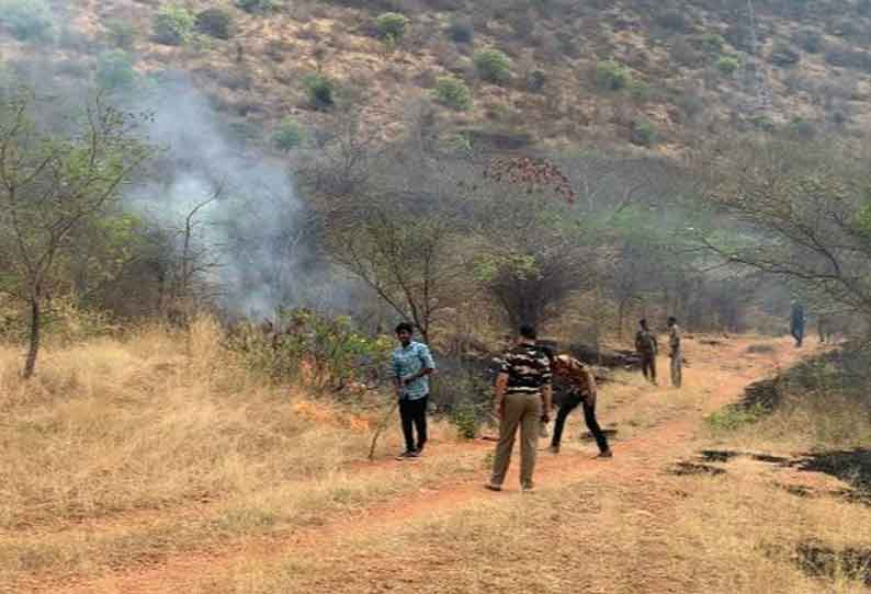 மருதமலை வனப்பகுதியில் தீத்தடுப்பு கோடுகள்