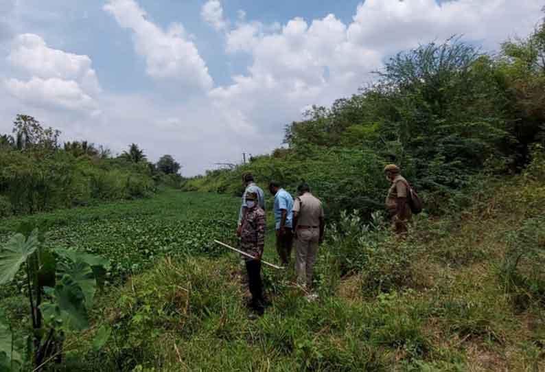 முதலையை பிடிக்க கண்காணிப்பு குழு