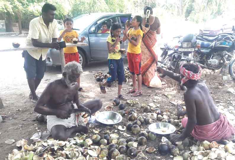 வெயிலின் தாக்கத்தால் நுங்கு விற்பனை அமோகம்