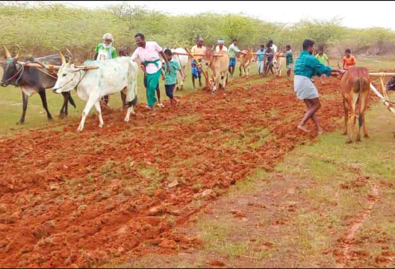 தஞ்சை மாவட்ட பகுதிகளில் வயல்களில் நல்ஏர் பூட்டி வழிபாடு விவசாயிகள் குடும்பத்துடன் கலந்து கொண்டனர்