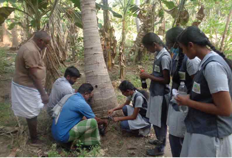 தென்னையில் வேர் ஊட்டம் பற்றி மாணவிகள் செயல்முறை விளக்கம்