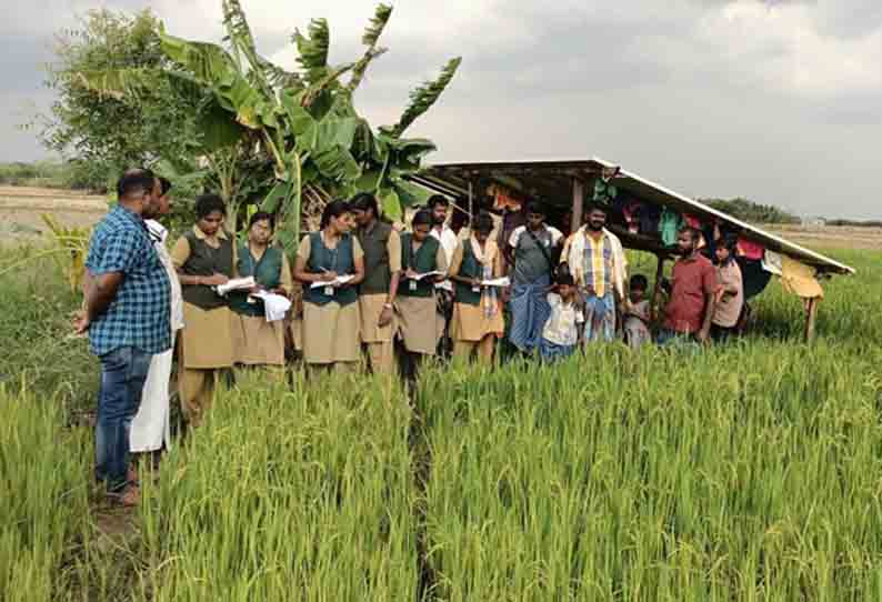 மாணவிகளுக்கு விவசாய தொழில்நுட்ப பயிற்சி