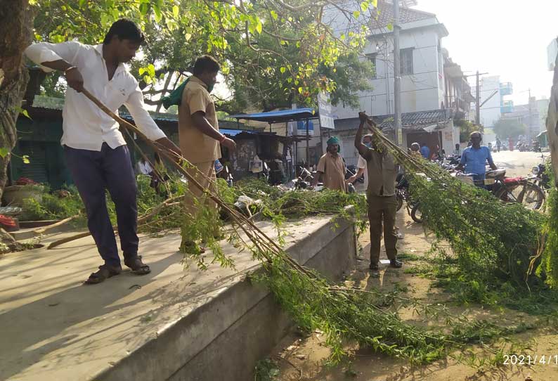 கச்சிராயப்பாளையம் பகுதியில்  பொதுமக்கள் கூடும் இடங்களில்  முட்செடிகளை வெட்டி போட்ட பேரூராட்சி ஊழியர்கள் கொரோனா தொற்று எதிரொலியால் நடவடிக்கை