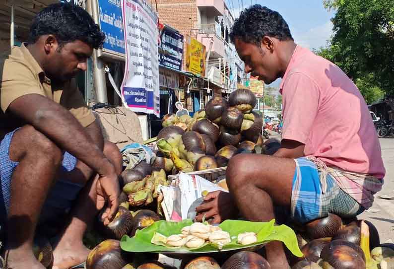 நுங்கு விற்பனை அமோகம்