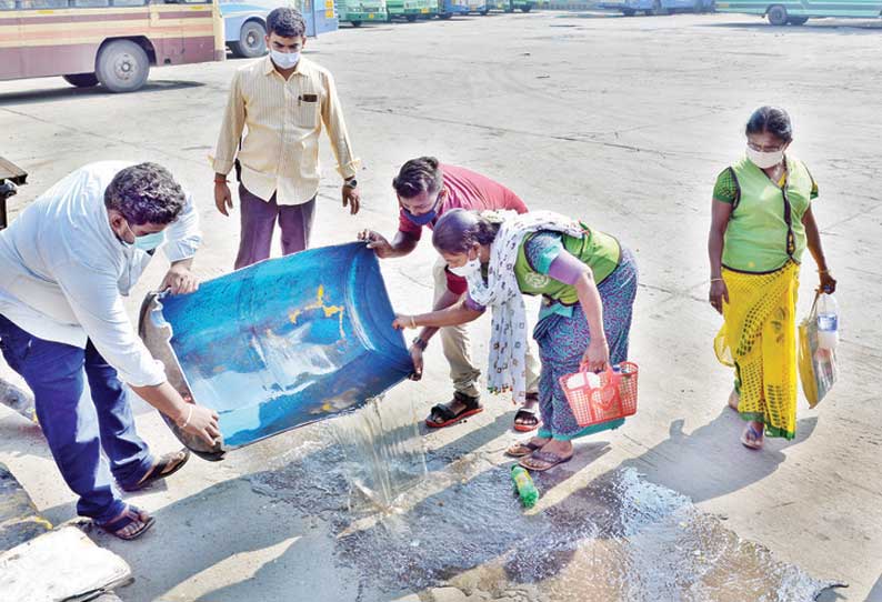 திருப்பூரில்  டெங்கு கொசு ஒழிப்பு பணி தீவிரம்