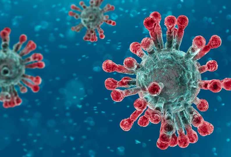 காஞ்சீபுரத்தில் 7 கோவில்களில் பக்தர்களுக்கு அனுமதி இல்லை - கொரோனா தொற்றால் நடவடிக்கை