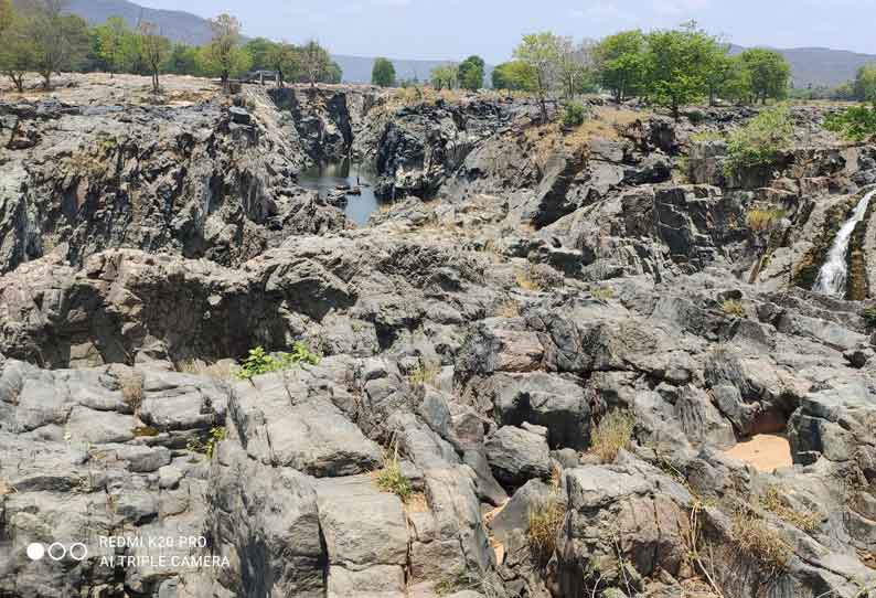 நீர்வரத்து சரிவு: பாறைகளாக காட்சி அளிக்கும் ஒகேனக்கல் காவிரி ஆறு