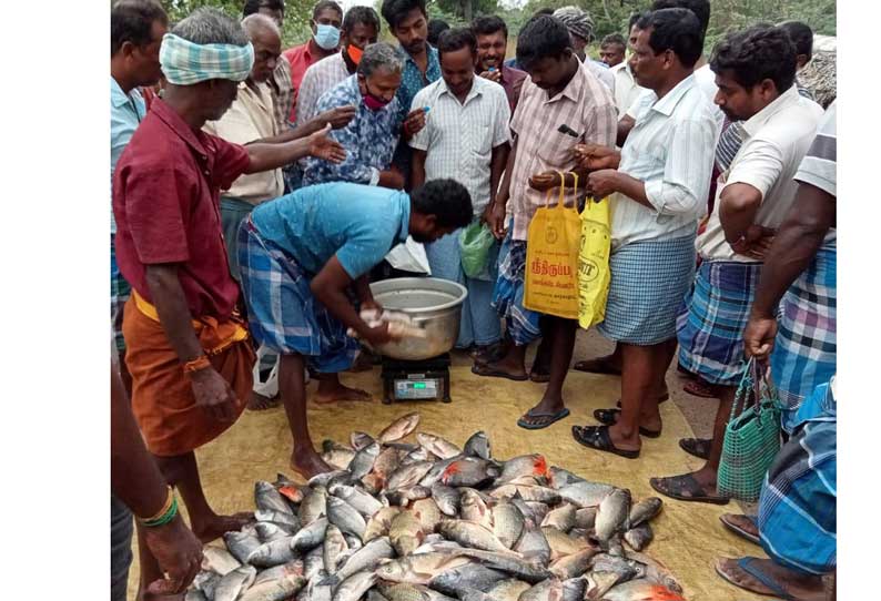 people get fish | மீன்கள் வாங்க அலைமோதிய மக்கள்