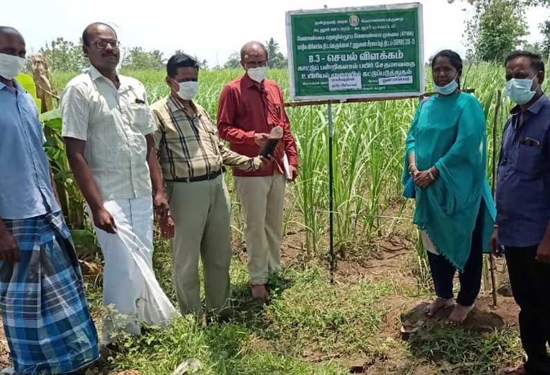 கடலூர் அருகே காட்டுப்பன்றிகளிடம் இருந்து பயிர்களை பாதுகாக்க விவசாயிகளுக்கு பயிற்சி