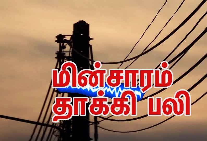 மின்சாரம் பாய்ந்து தொழிலாளி பலி