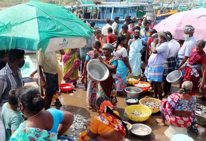 கடலூர் துறைமுகத்துக்கு மீன் வரத்து குறைவால் விலை அதிகரிப்பு