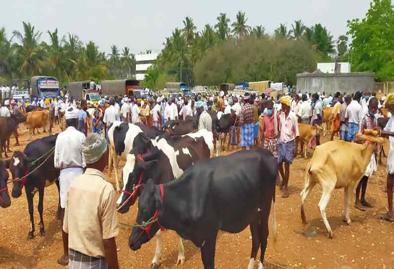 சீனாபுரம் சந்தையில் ரூ.50 லட்சத்துக்கு மாடுகள் விற்பனை