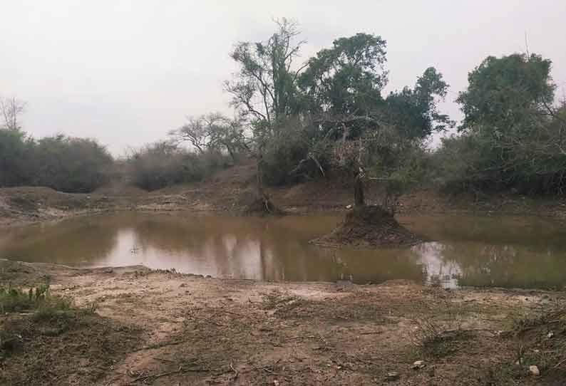 நீலகிரி மாவட்டத்தில் தொடர் மழையால் குளம், குட்டைகளுக்கு நீர் வரத்து அதிகரிப்பு