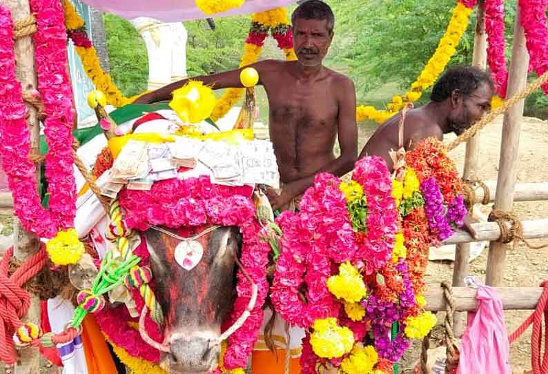 கோவில் காளை செத்தது