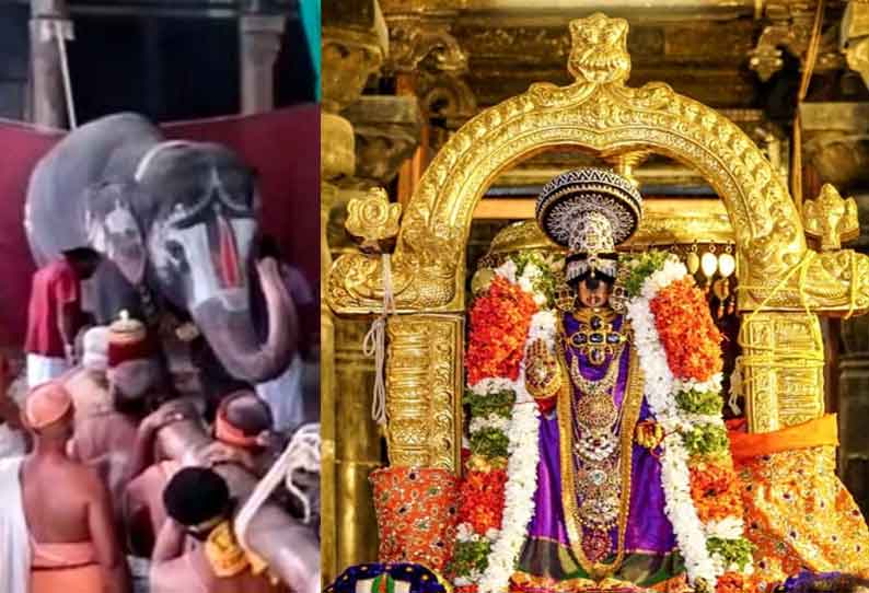 ஸ்ரீரங்கம் ரெங்கநாதர் கோவிலில் கஜேந்திர மோட்சம் நிகழ்ச்சி