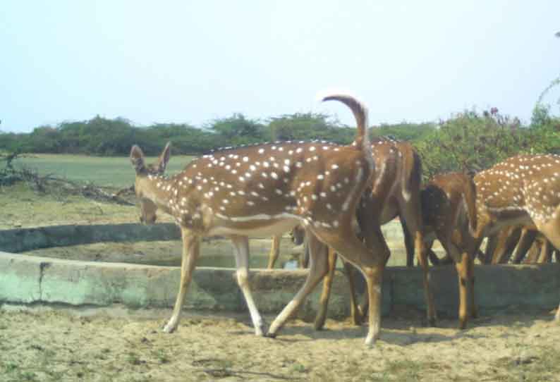 வனவிலங்குகளுக்கு தட்டுப்பாடின்றி குடிநீர்