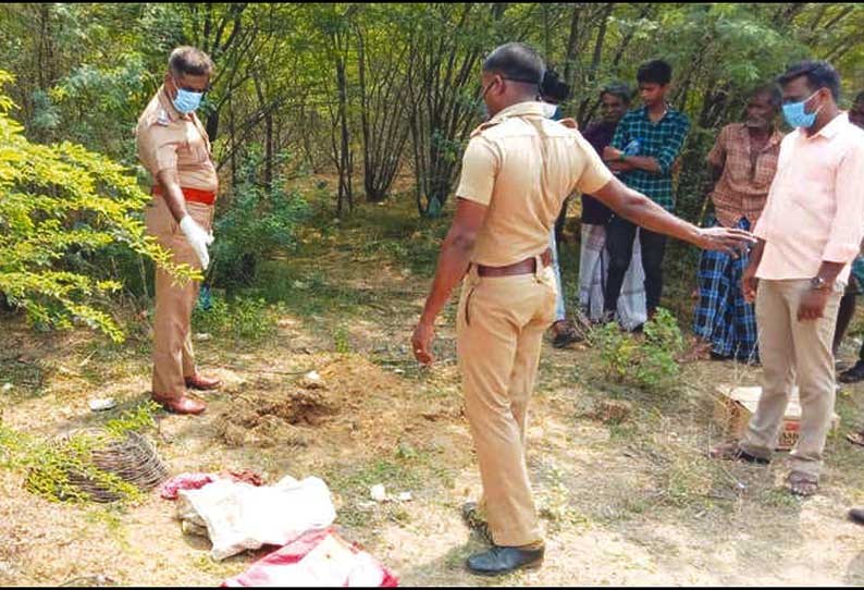 ஆலங்குடி அருகே கருவேலமரக்காட்டுக்குள் கிடந்த குழந்தை பிணம்; போலீசார் விசாரணை