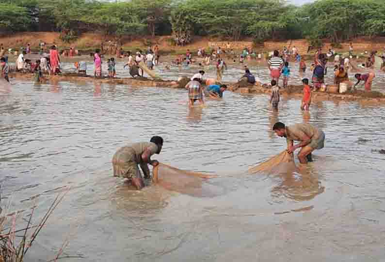 வலை விரித்து மீன்களை அள்ளிய கிராம மக்கள்