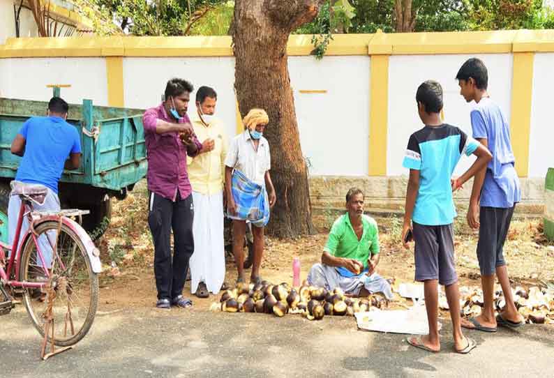 பொன்னமராவதி பகுதியில் நுங்கு விற்பனை தீவிரம்