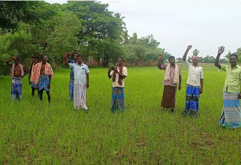 கோட்டூர் பகுதியில், தண்ணீரின்றி கருகி வரும் குறுவை பயிர்களை காப்பாற்றக்கோரி வயலில் இறங்கி விவசாயிகள் ஆர்ப்பாட்டம்