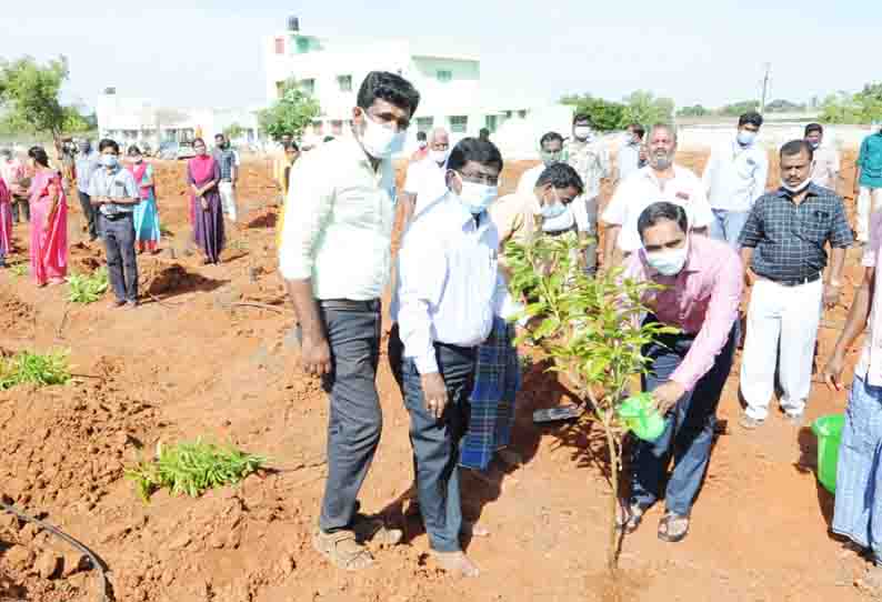 1,000 மரக்கன்றுகள் நடும் பணி