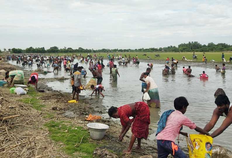 விழுப்புரம் அருகே ஊரடங்கை மீறி நடந்த மீன்பிடி திருவிழா போலீசார் விரட்டி அடித்ததால் பரபரப்பு