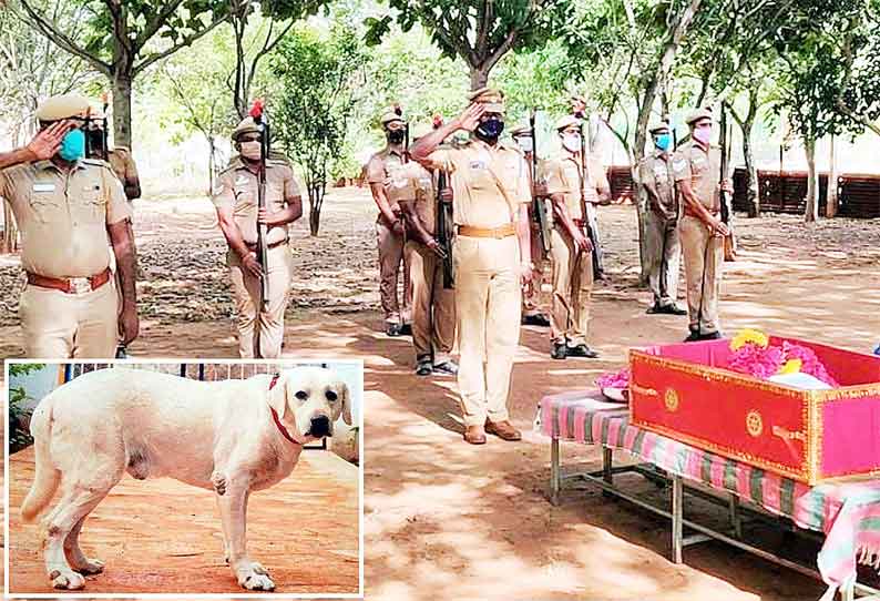 திருச்சி மத்திய சிறையில் வெடிகுண்டு கண்டுபிடிக்கும் பிரிவில் பணியாற்றிய மோப்பநாய் சாவு; போலீஸ் மரியாதையுடன் அடக்கம்