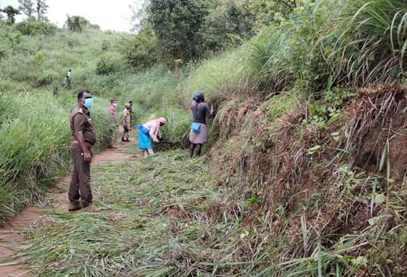 சாலையை சூழ்ந்த புதர் செடிகளை வெட்டிய வனத்துறையினர்