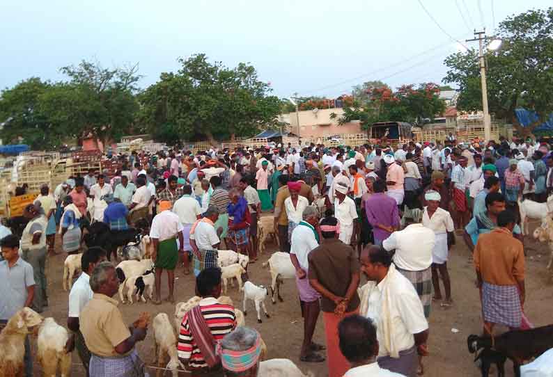 குண்டடம் வாரச்சந்தையில் ஆடு,கோழிகள்  விலையில் கடும் வீழ்ச்சி ஏற்பட்டது.