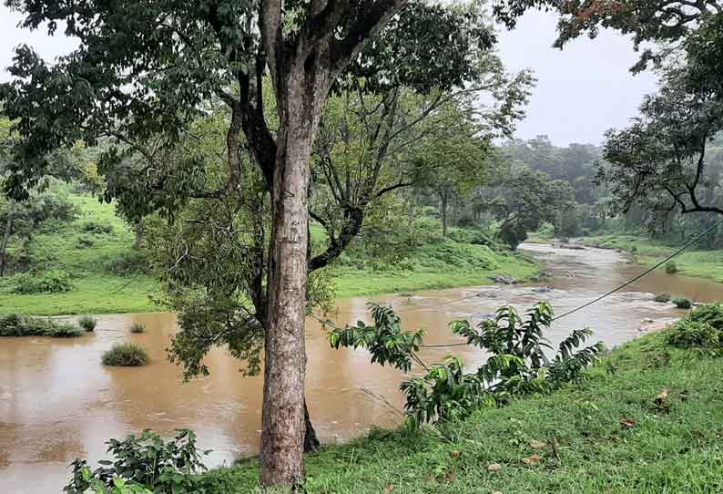 பலத்த மழையால் ஆறுகளில் வெள்ளப்பெருக்கு