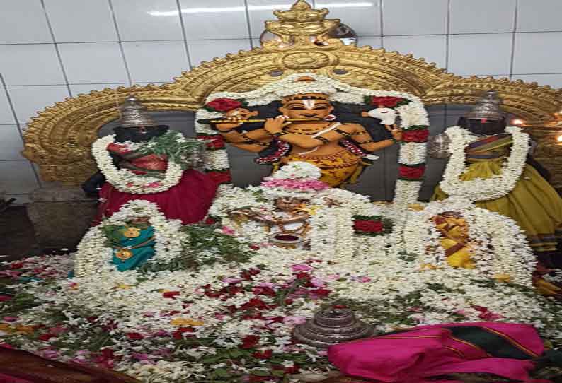 கீழப்பாவூர் கிருஷ்ணன் கோவிலில் பவித்ர உற்சவ விழா