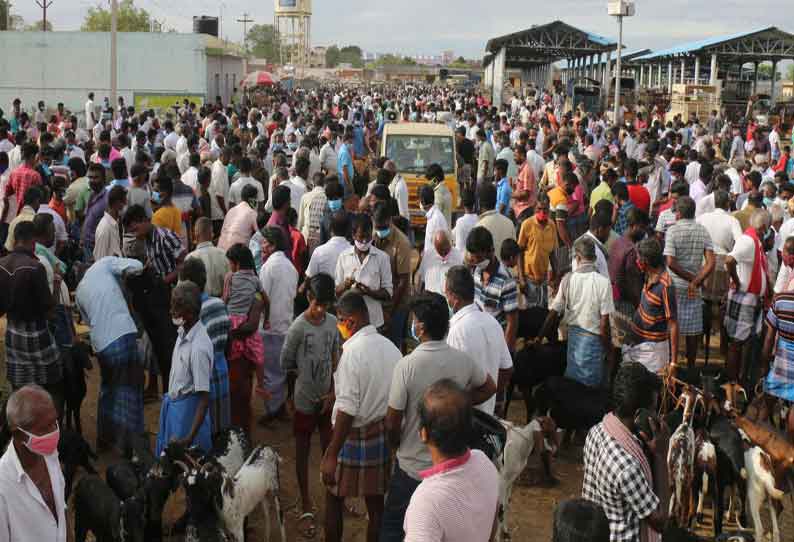 சந்தையில் ஆடு வாங்க பொதுமக்கள் குவிந்தனர்