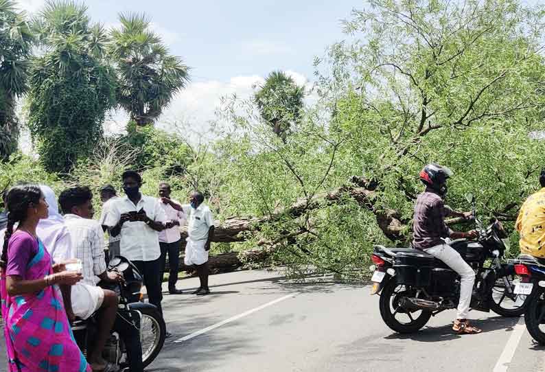 சாலையின் குறுக்கே மரம் விழுந்ததால் போக்குவரத்து பாதிப்பு