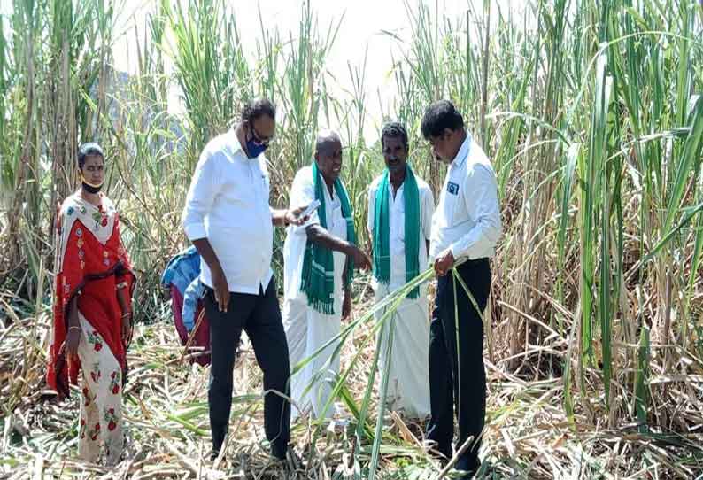 ஏக்கருக்கு 90 டன் கரும்பு அறுவடை செய்து இயற்கை விவசாயி சாதனை