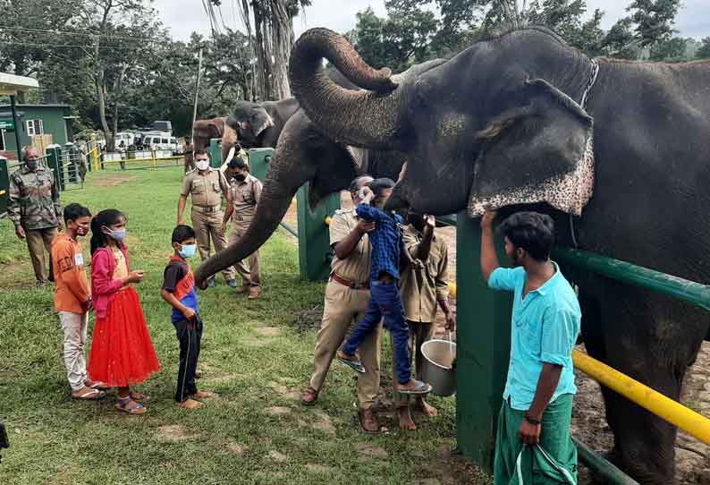 முதுமலையில் யானைகள் தின விழா