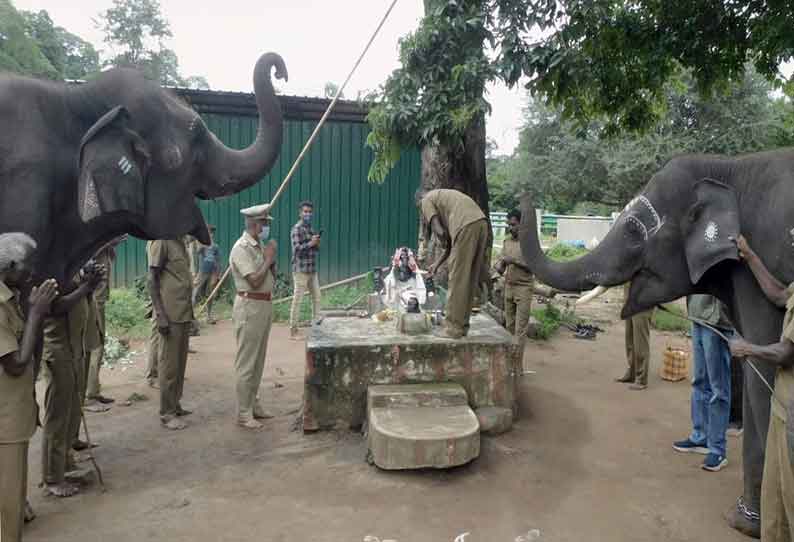 யானைகள் தினம் கொண்டாட்டம்