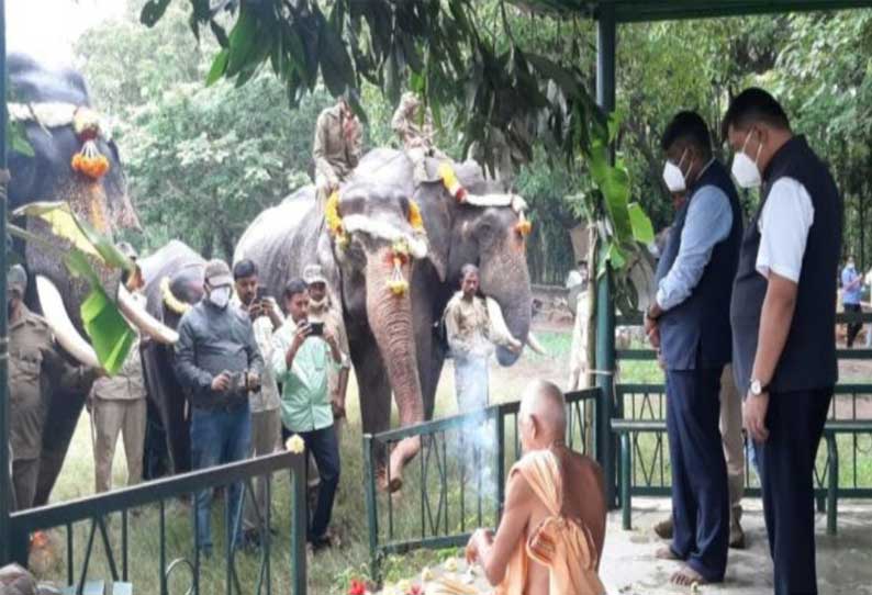 உலக யானைகள் தினம் சக்கரேபயலு யானை முகாமில் எளிமையாக கொண்டாட்டம்