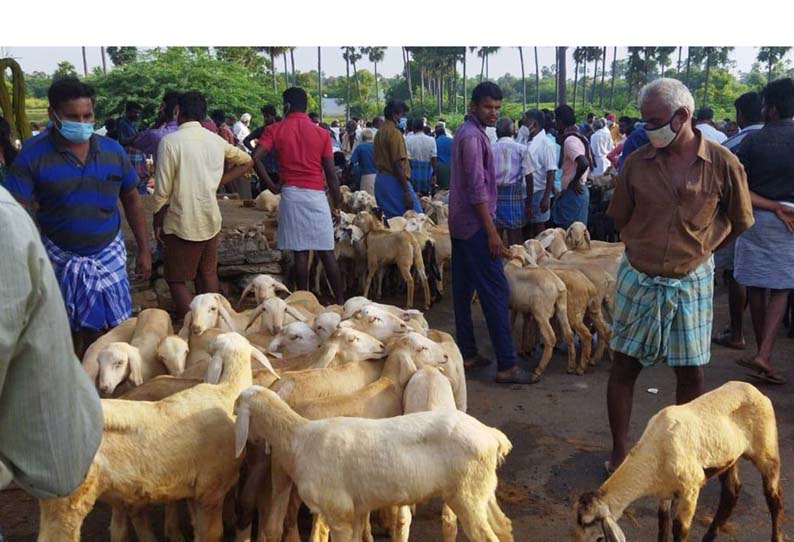 தடையை மீறி வாரச்சந்தைக்கு ஆடுகளை கொண்டு வந்த விவசாயிகள்