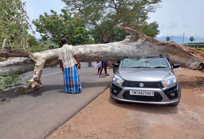 கார் மீது மரம் முறிந்து விழுந்து பெண் காயம்