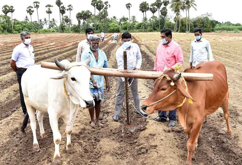 அனுக்குமலை ஊராட்சியில் நேரடி கொள்முதல் நிலையம்