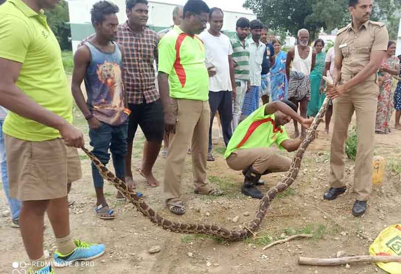 ஜோலார்பேட்டை அருகே 10 அடி நீள மலைப்பாம்பு பிடிப்பட்டது.