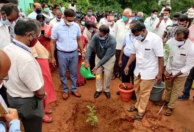 கால்நடை தீவன வளர்ப்பு திட்டத்தை கலெக்டர் தொடங்கி வைத்தார்