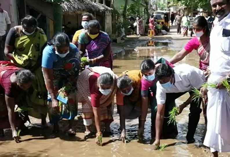 கும்பகோணத்தில் பெண்கள் நாற்று நடும் போராட்டம்