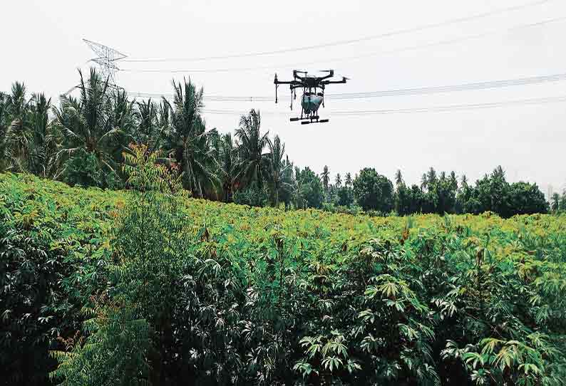 மொடக்குறிச்சி பகுதியில் மரவள்ளிக்கிழங்கில் மாவுப்பூச்சி தாக்குதலை கட்டுப்படுத்த டிரோன் மூலம் மருந்து அடிக்கும் பணி